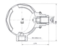 點擊看大圖